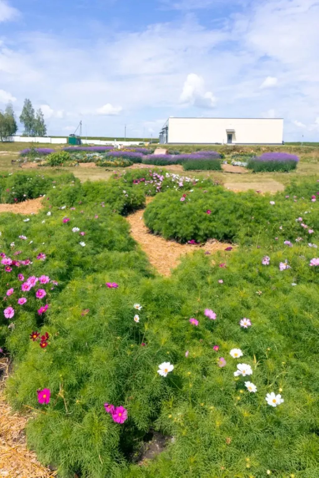 Брестский блогер побывал в гостях у Андрея Малахова