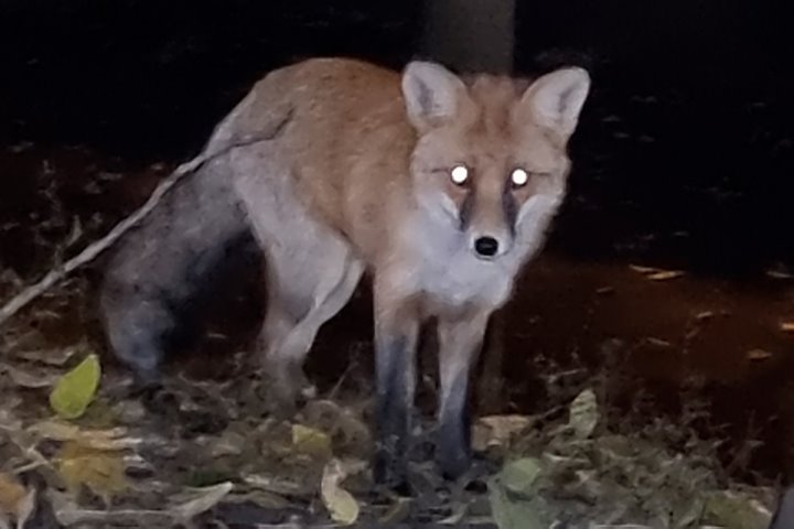 Как за одну ночь на рыбалке можно остаться без пойманной рыбы и провианта