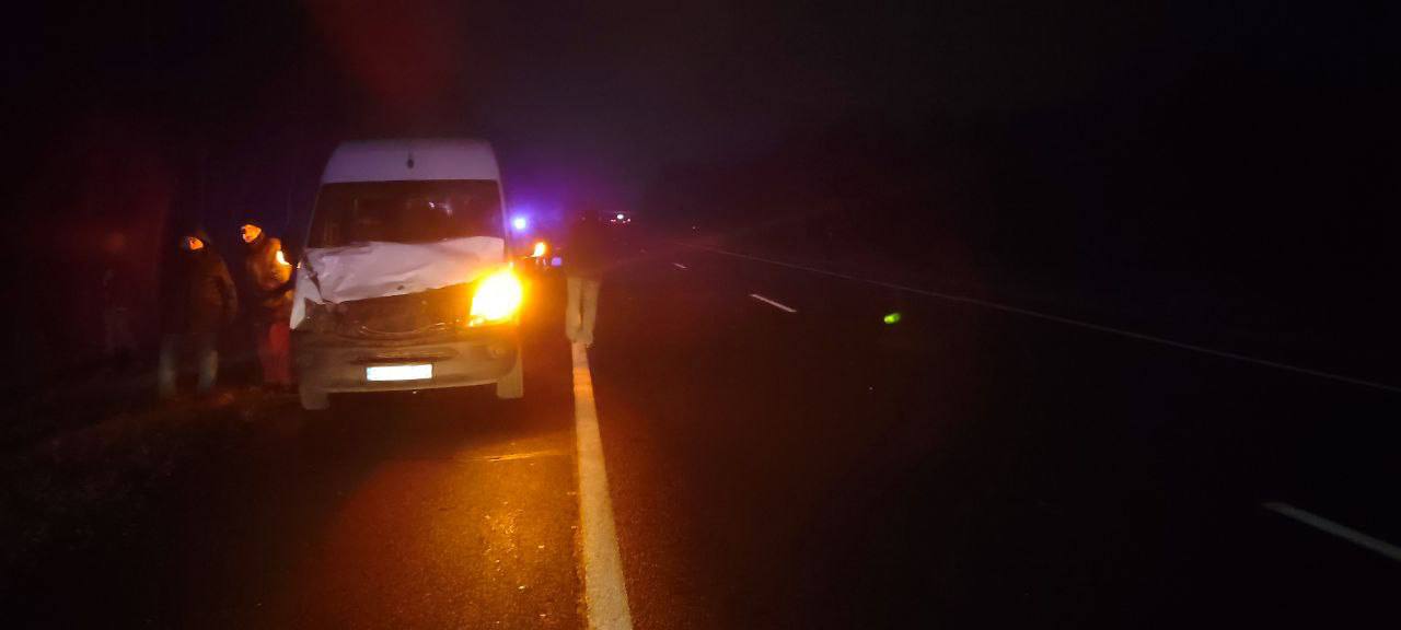 Mercedes сбил лося в Брестской области