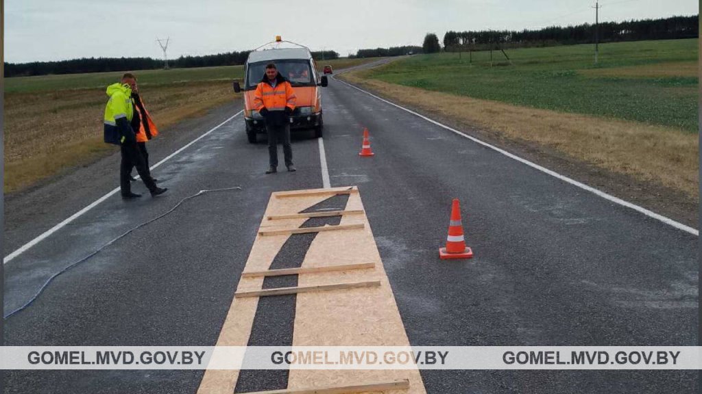 На дорогах Беларуси появилась новая разметка. Что она означает?