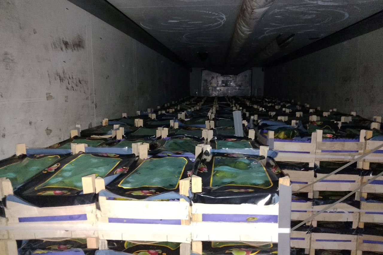 Под коробками с чипсами и водой белорус пытался вывезти 20 тонн груш