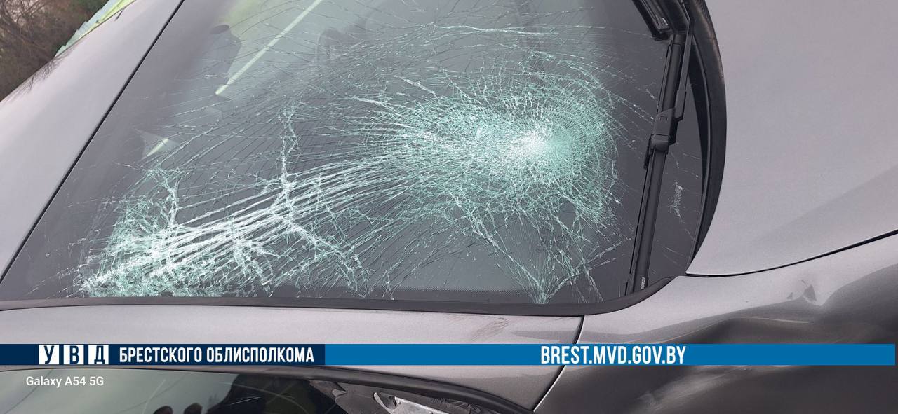 Возле Бреста сбили 14-летнего мальчика