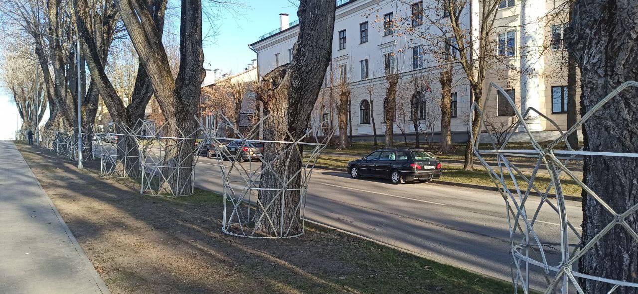 Брест продолжает готовиться к новогодним праздникам — обновления на Набережной и возле Городского сада