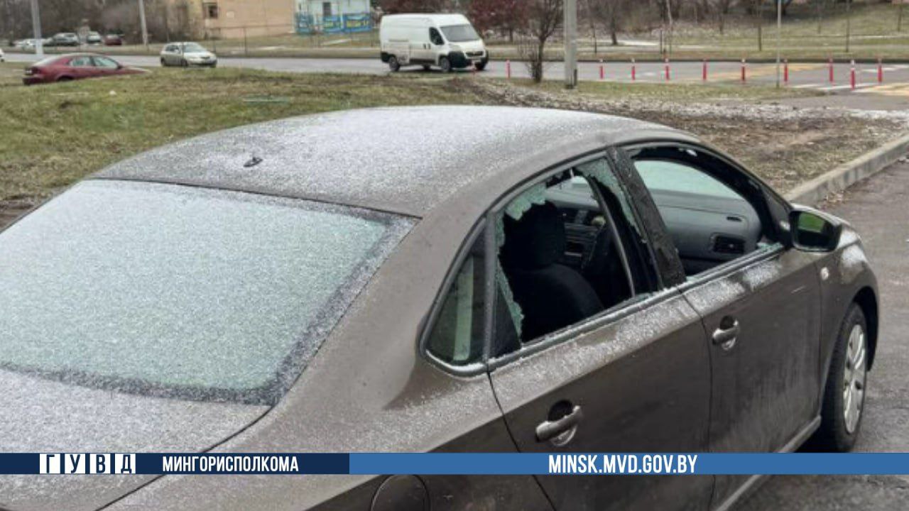 Белорус из мести разбил машину соседа молотком