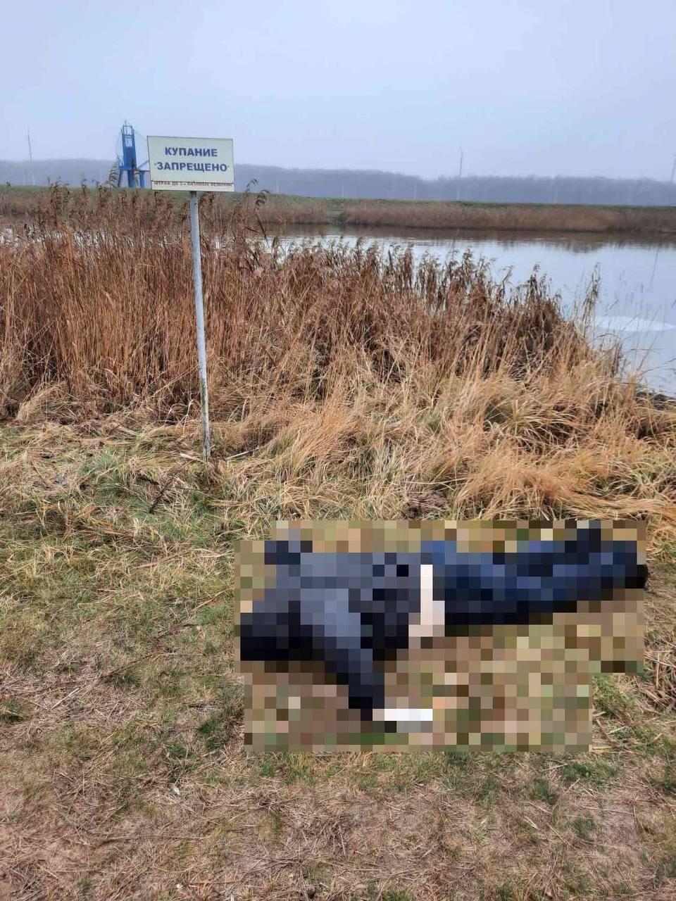 В Бресте мужчина утонул в искусственном водоеме