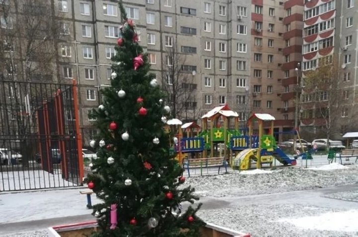 Можно ли во дворе многоэтажки установить ёлку? Пояснила адвокат