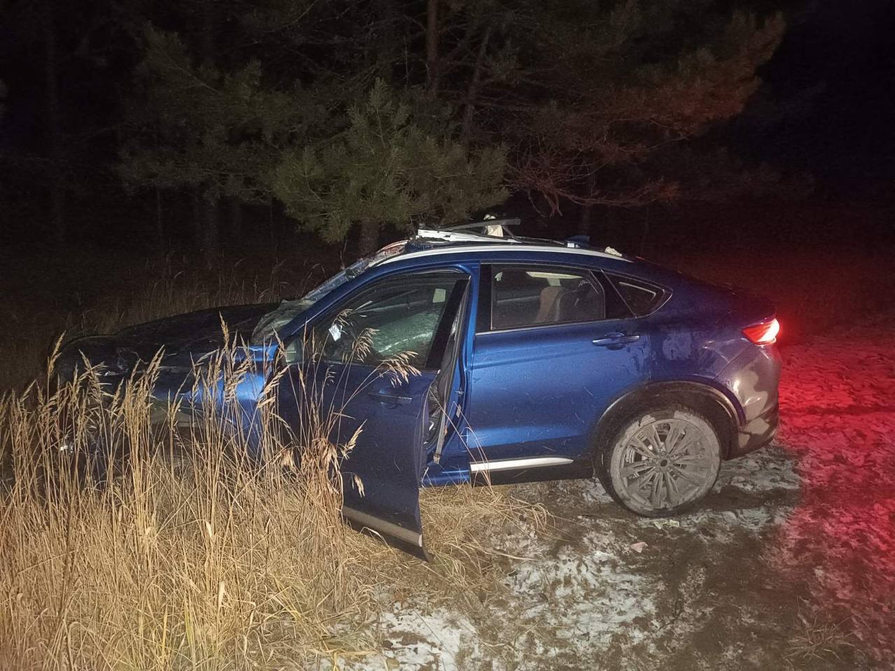 Лось выбежал на дорогу перед машиной