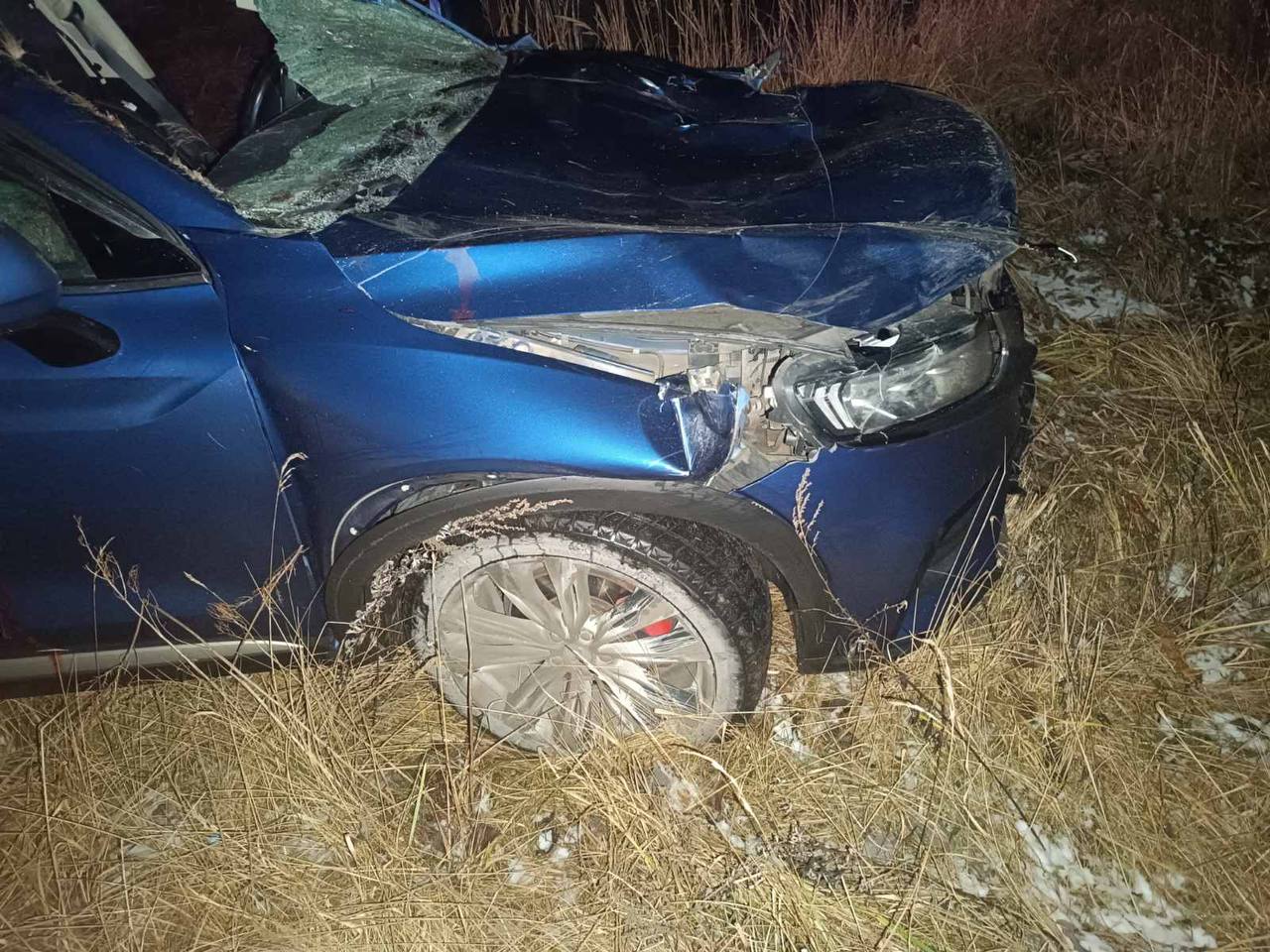 Лось выбежал на дорогу перед машиной