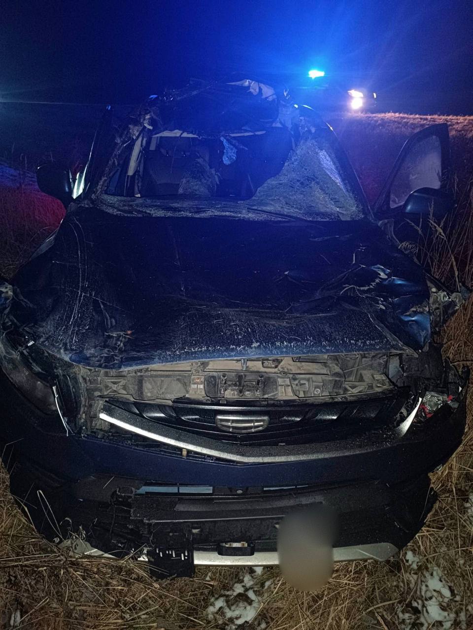 Лось выбежал на дорогу перед машиной