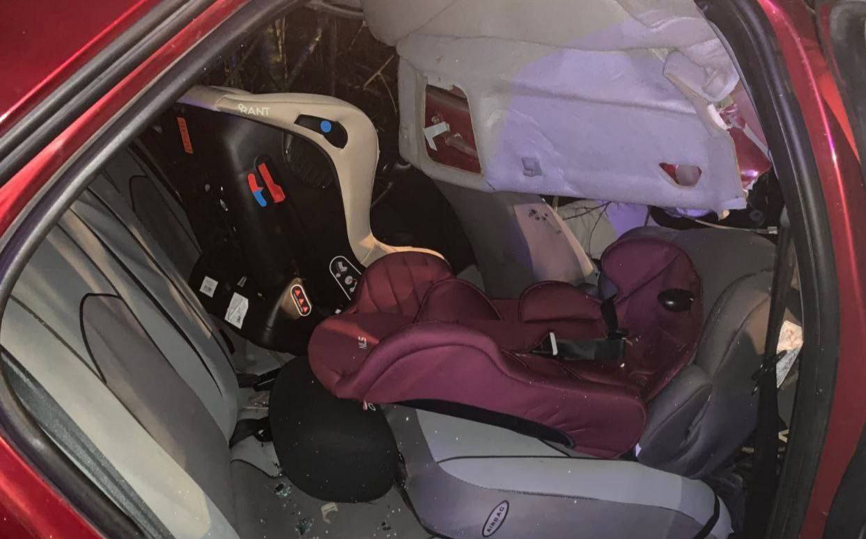 Белоруска ехала в машине с детьми и сбила лося — видео и фото