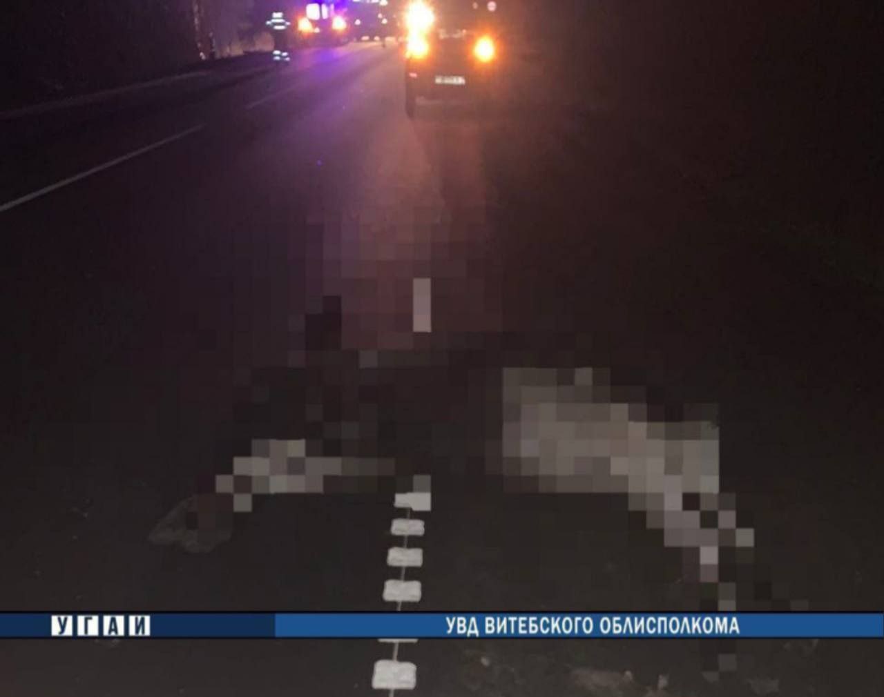 Белоруска ехала в машине с детьми и сбила лося — видео и фото