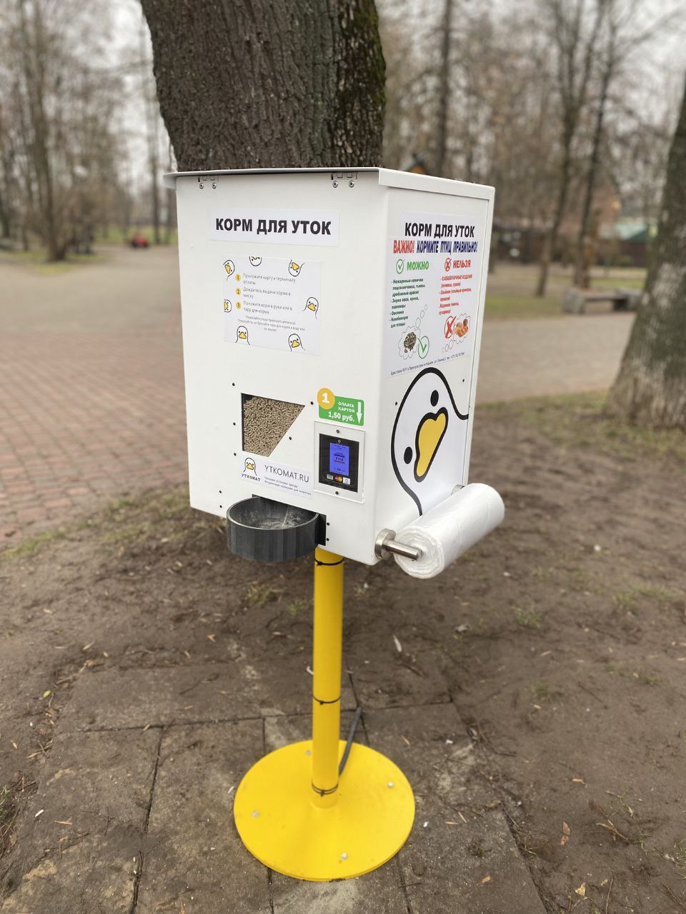 В Бресте в городском парке культуры и отдыха появился автомат для кормления птиц
