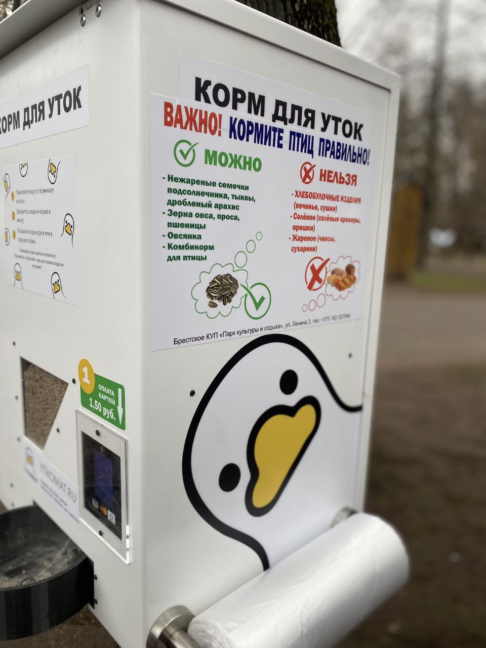 В Бресте в городском парке культуры и отдыха появился автомат для кормления птиц