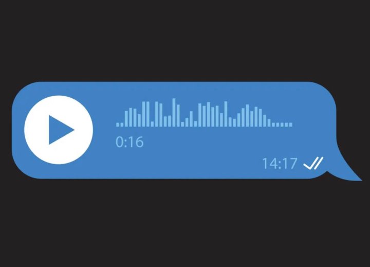 Жительница Брестской области хотела организовать фотосессию, а вместо этого «подарила» мошенникам свой голос