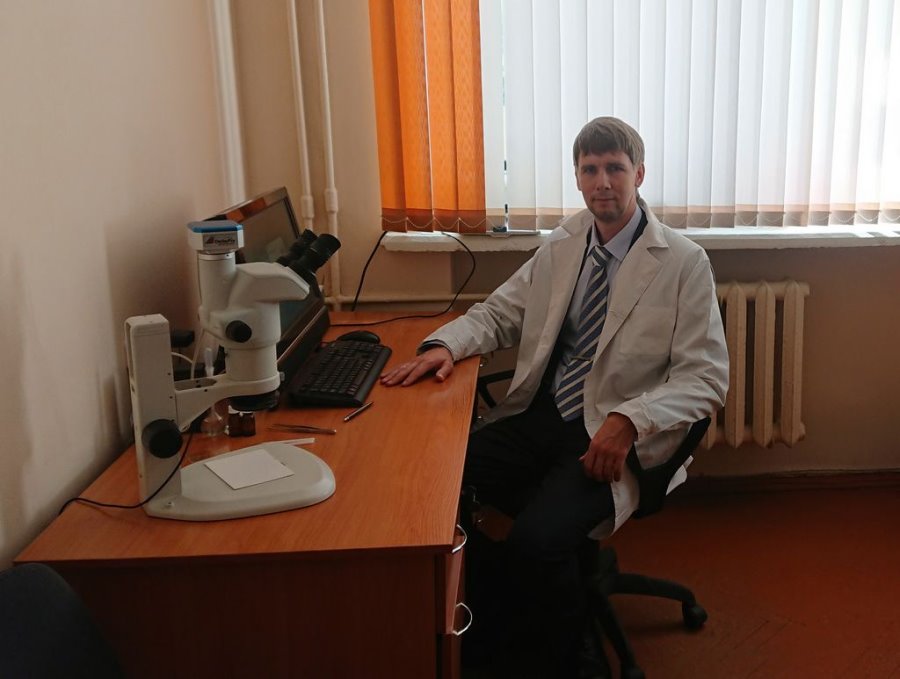 В Беларуси нашли ранее неизвестный науке вид грибов: смотрите, как они выглядят