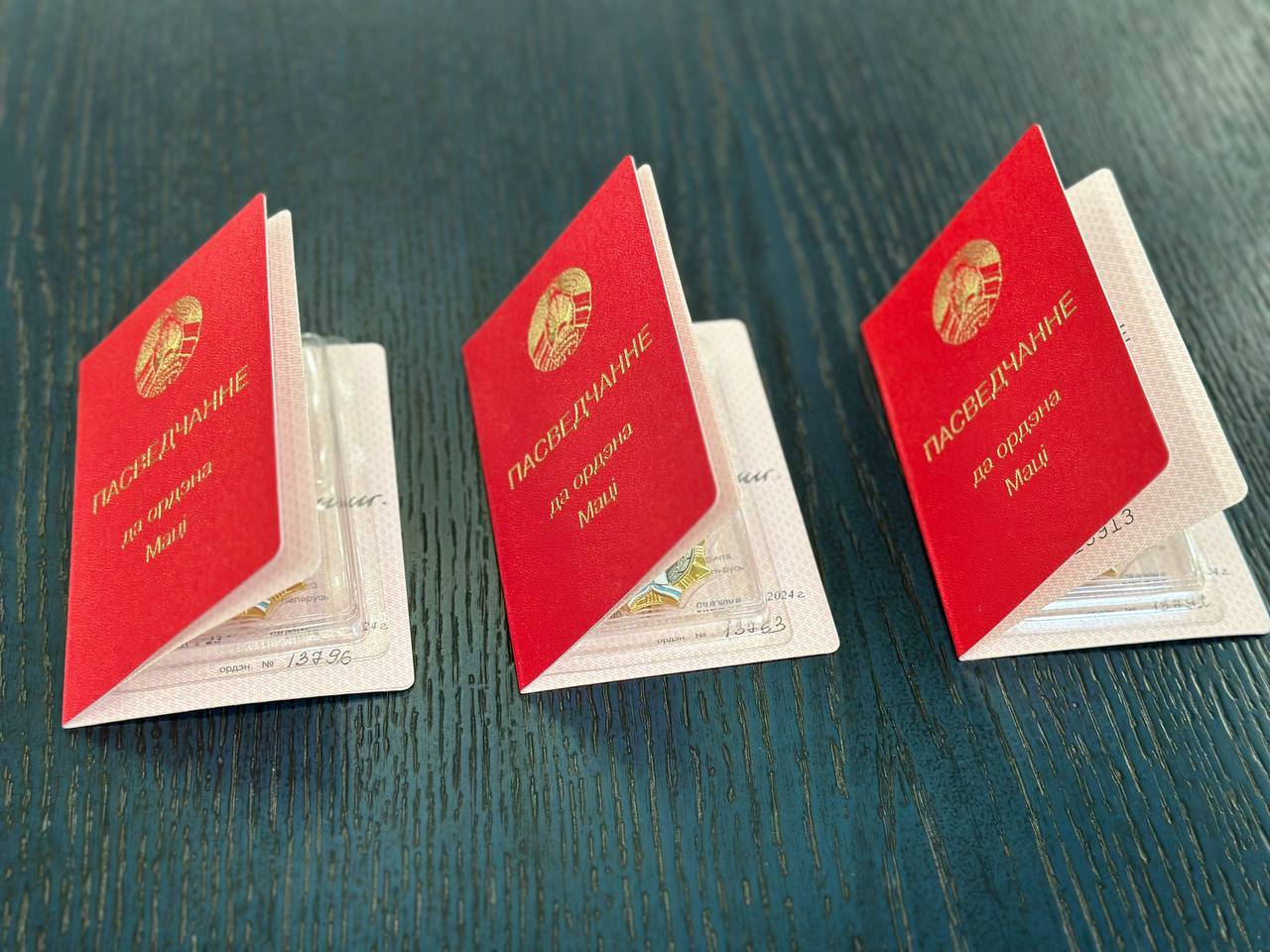 Трем брестчанкам вручили орден Матери