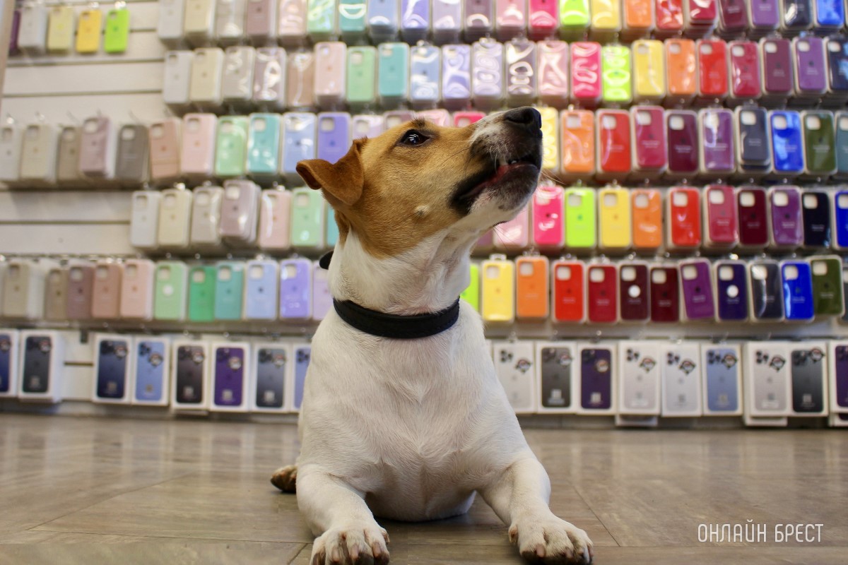 СЕРВИСНЫЙ ЦЕНТР ЮНИТЕЛ