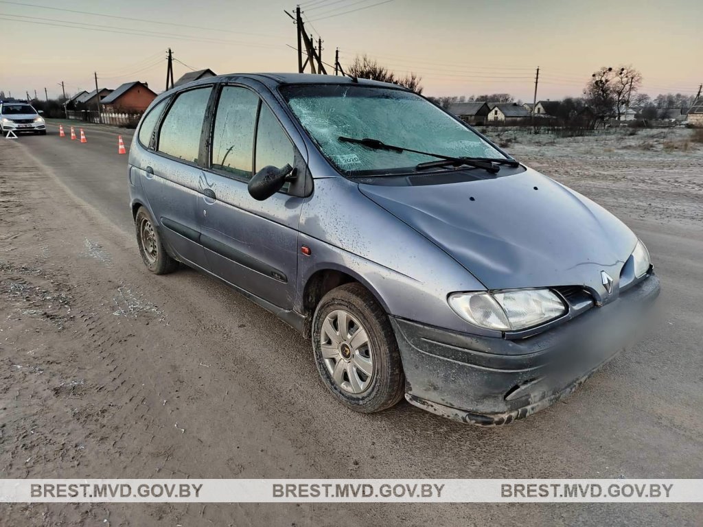 В Малоритском районе водитель Renault сбил пешехода