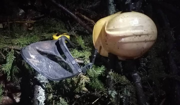 Рабочего насмерть придавило деревом в Лунинецком районе — возбуждено уголовное дело