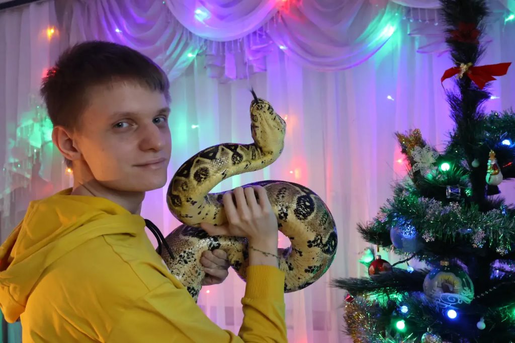 Этот огромный удав живёт в одной из брестских квартир