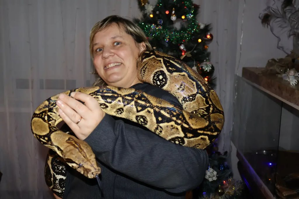 Этот огромный удав живёт в одной из брестских квартир