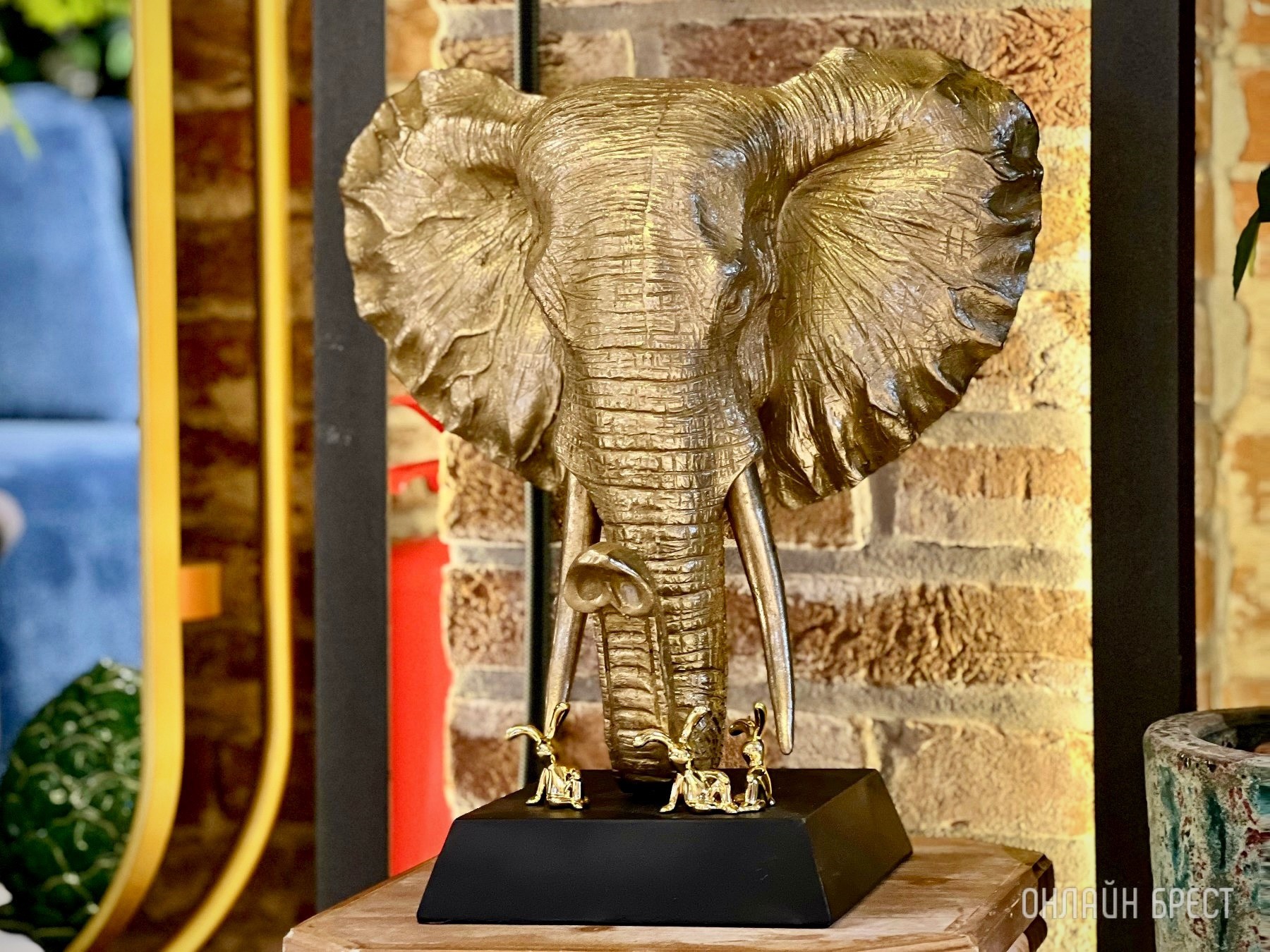 До открытия осталось 3 дня! Многие спрашивают, что за магазин с гигантским пауком появился в центре Бреста? Показываем, что находится внутри