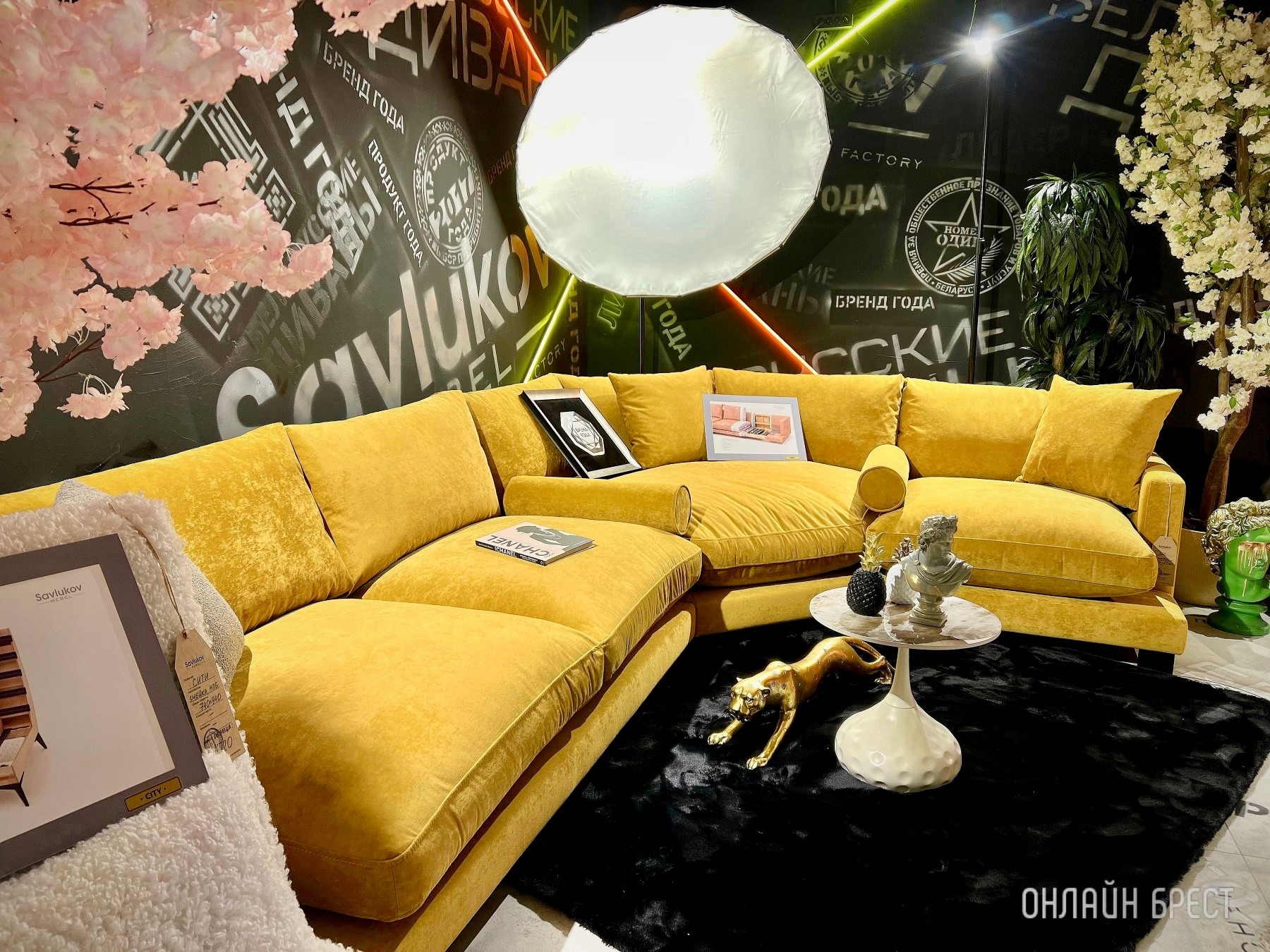 До открытия осталось 3 дня! Многие спрашивают, что за магазин с гигантским пауком появился в центре Бреста? Показываем, что находится внутри