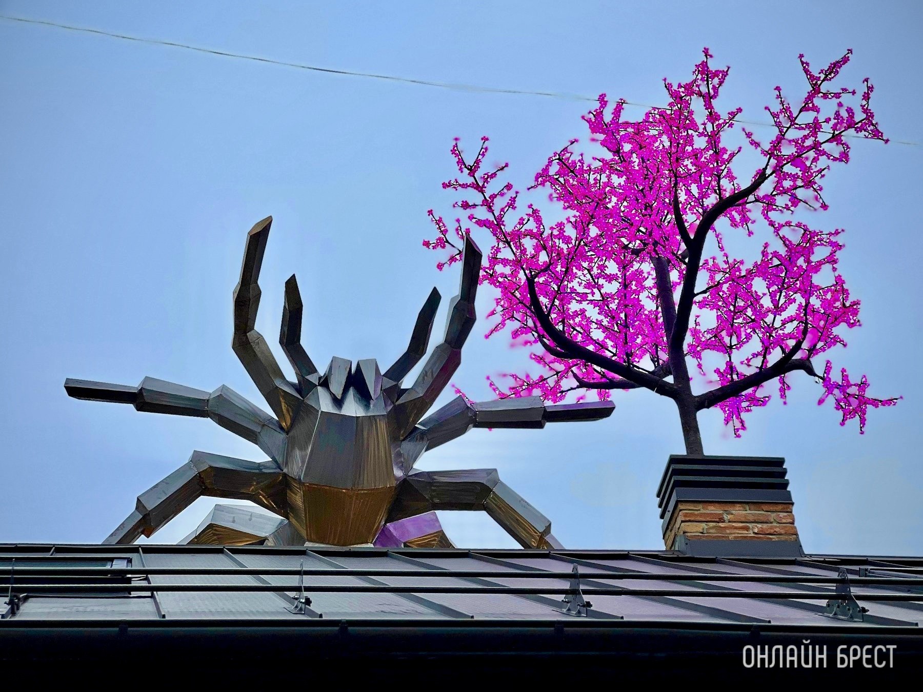 До открытия осталось 3 дня! Многие спрашивают, что за магазин с гигантским пауком появился в центре Бреста? Показываем, что находится внутри