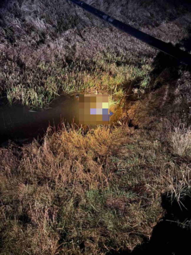 Пропавшую женщину нашли утонувшей в мелиоративном канале в Кобрине