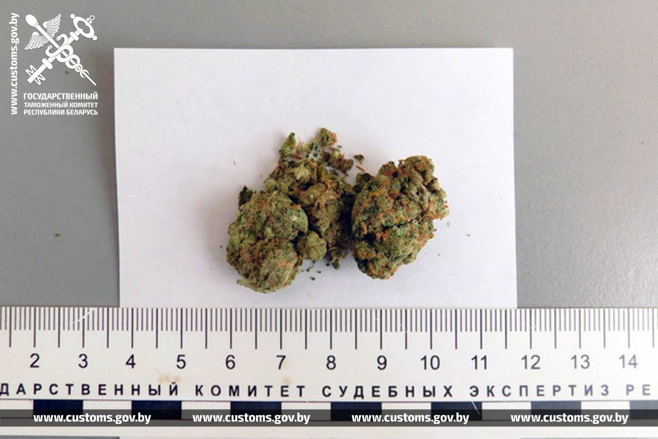 На границе в Бресте задержан пассажир автобуса