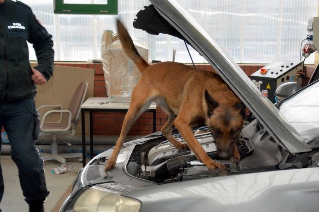 Белорус попался в Польше с контрабандой сигарет в автомобиле. Где он их спрятал?