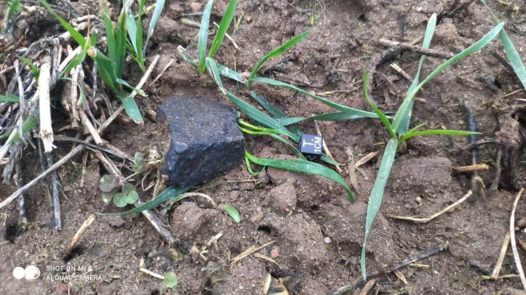 В Беларуси нашли осколки метеорита, упавшего в декабре