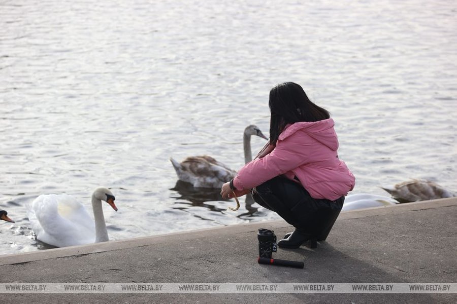 Как вам зима? Сегодня в Бресте столбик термометра достиг отметки +11°С
