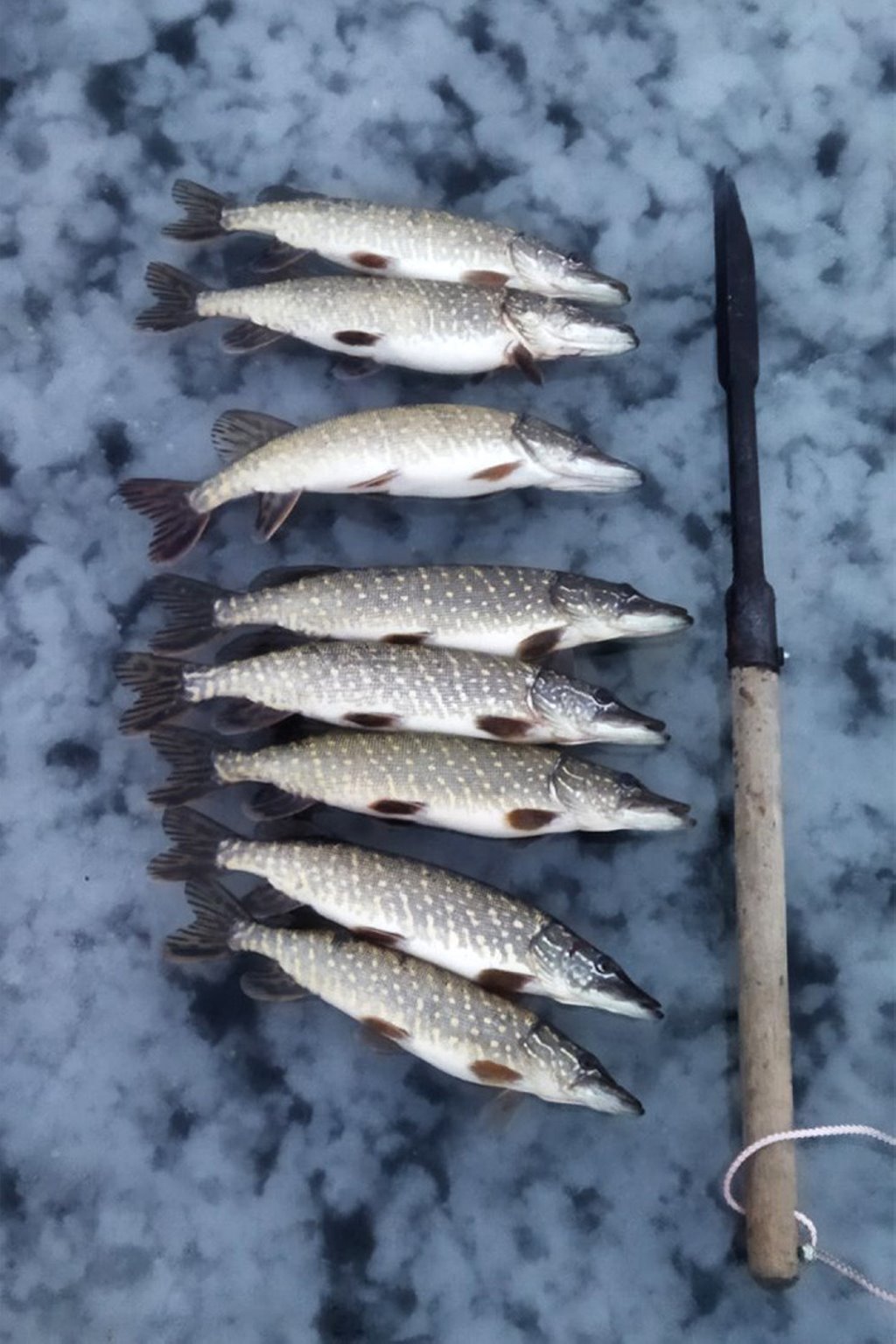 Белорус рассказал, как решил порыбачить под Барановичами на льду в конце января