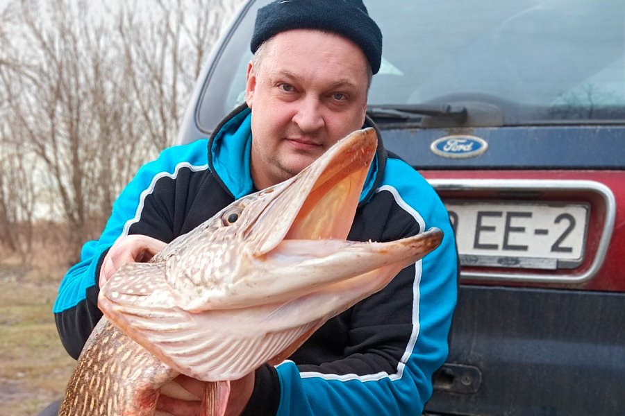 В Беларуси поймали огромную щуку. Сколько она весит?