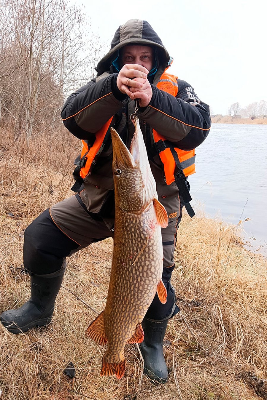 В Беларуси поймали огромную щуку. Сколько она весит?