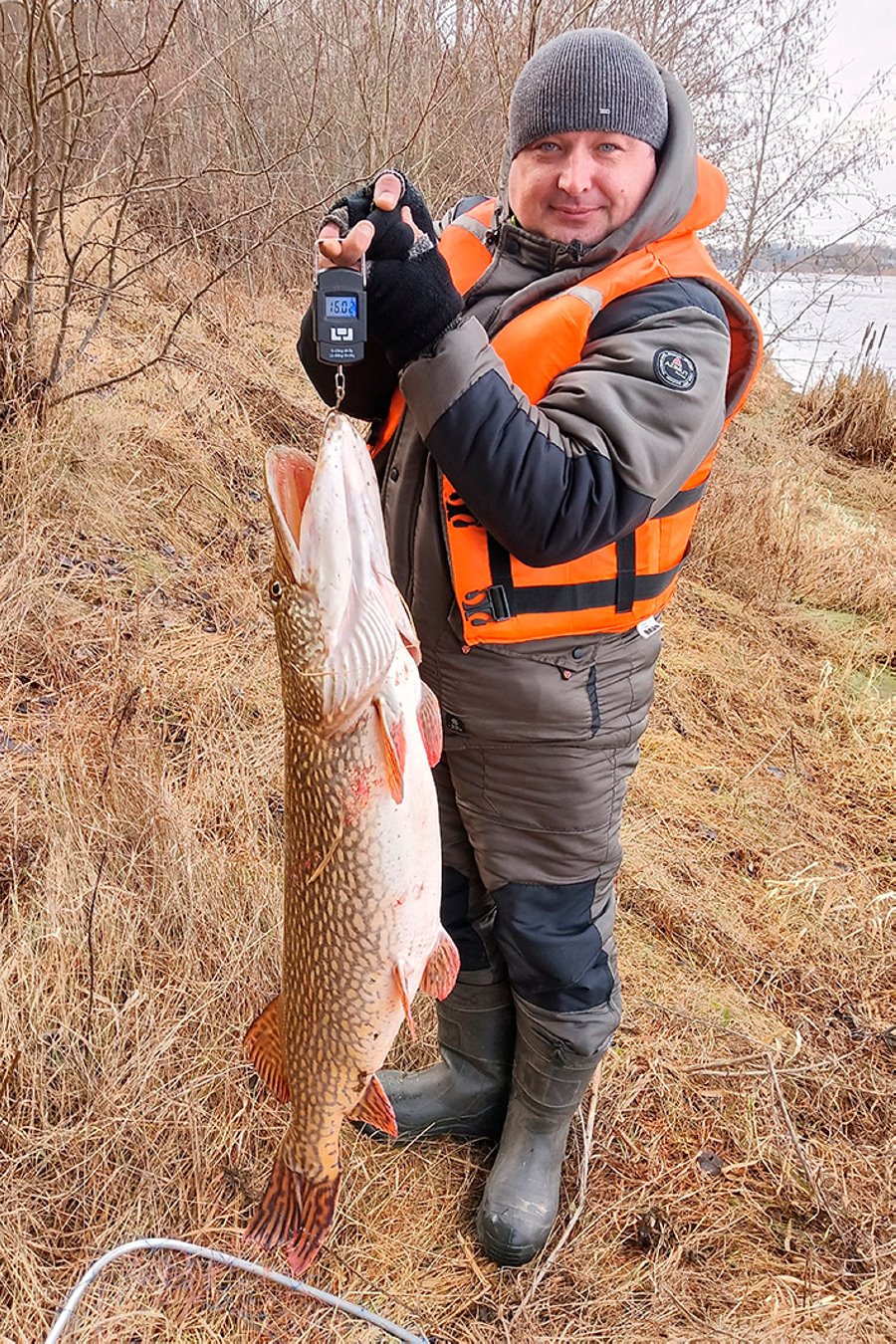 В Беларуси поймали огромную щуку. Сколько она весит?