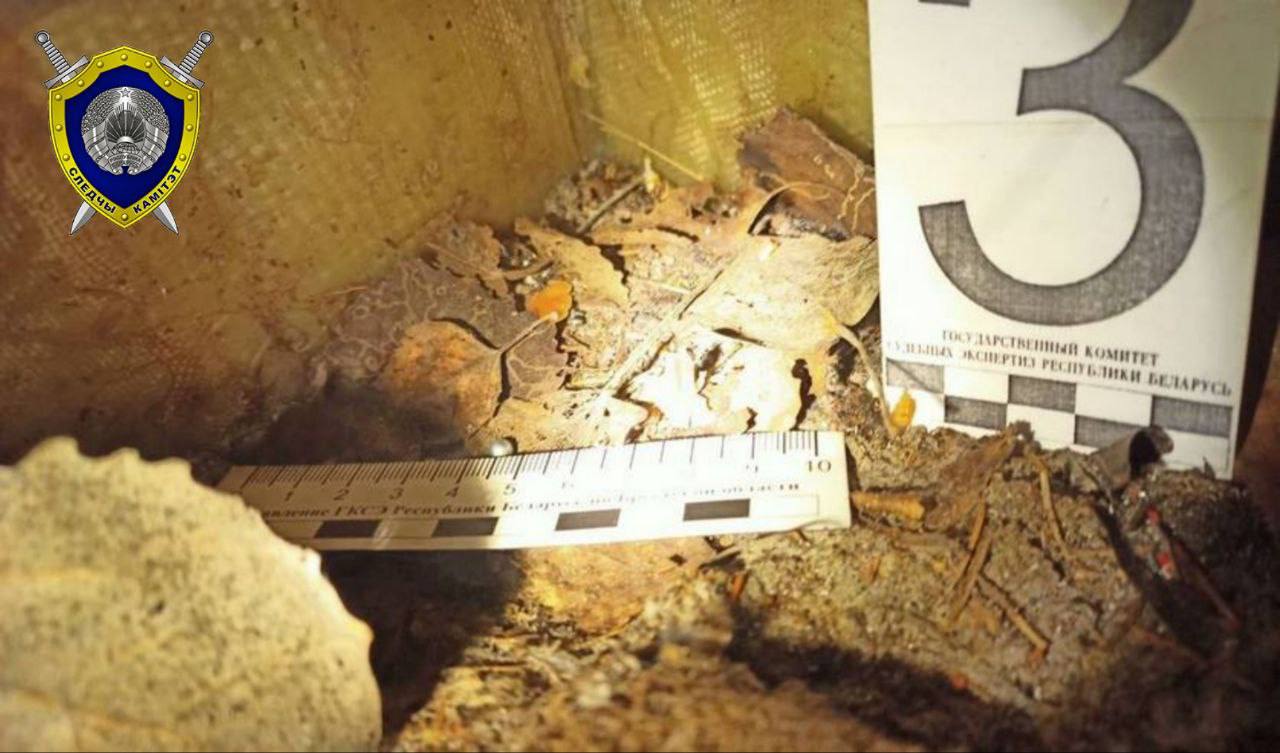 На пограничном столбе в Пружанском районе поврежден белорусский герб — возбуждено уголовное дело