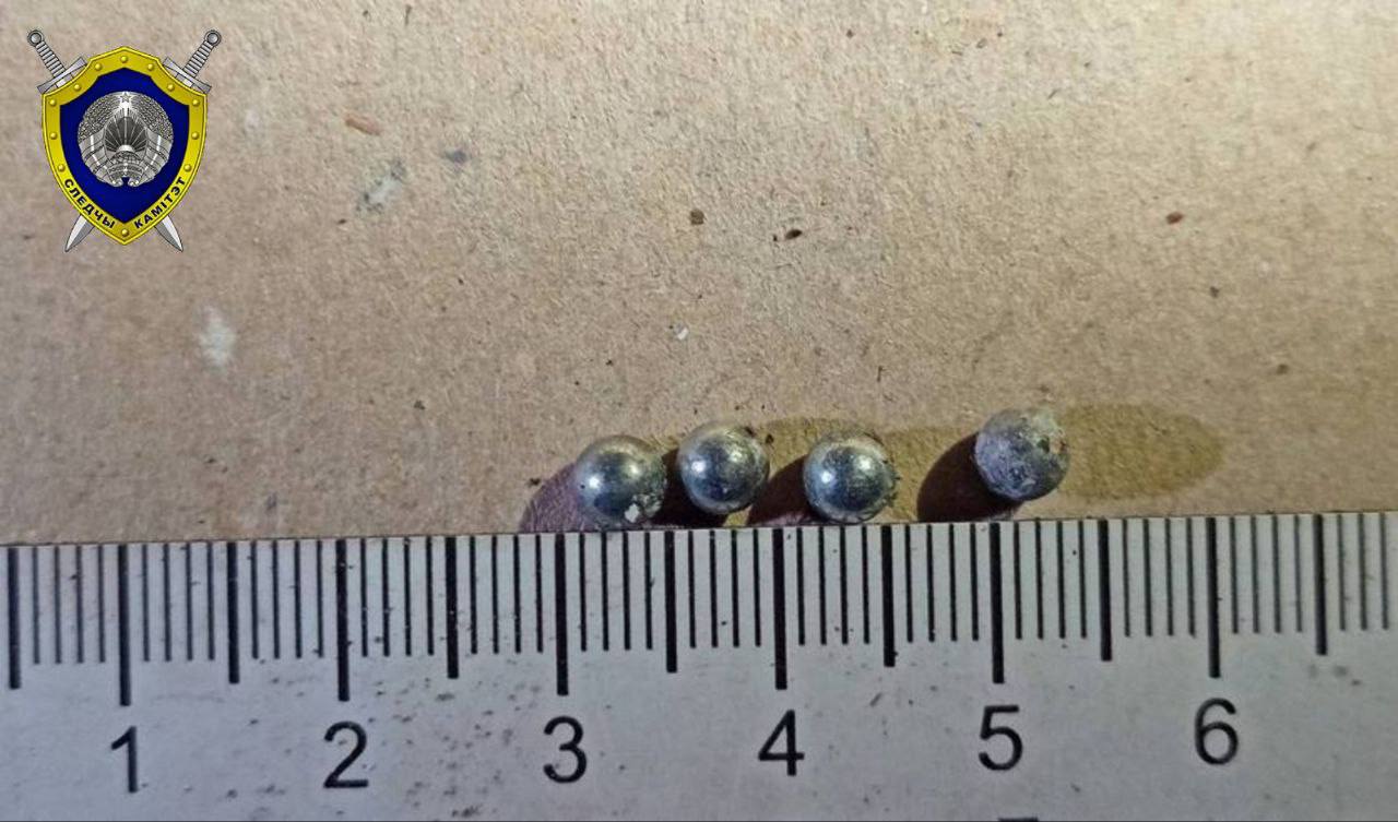 На пограничном столбе в Пружанском районе поврежден белорусский герб — возбуждено уголовное дело