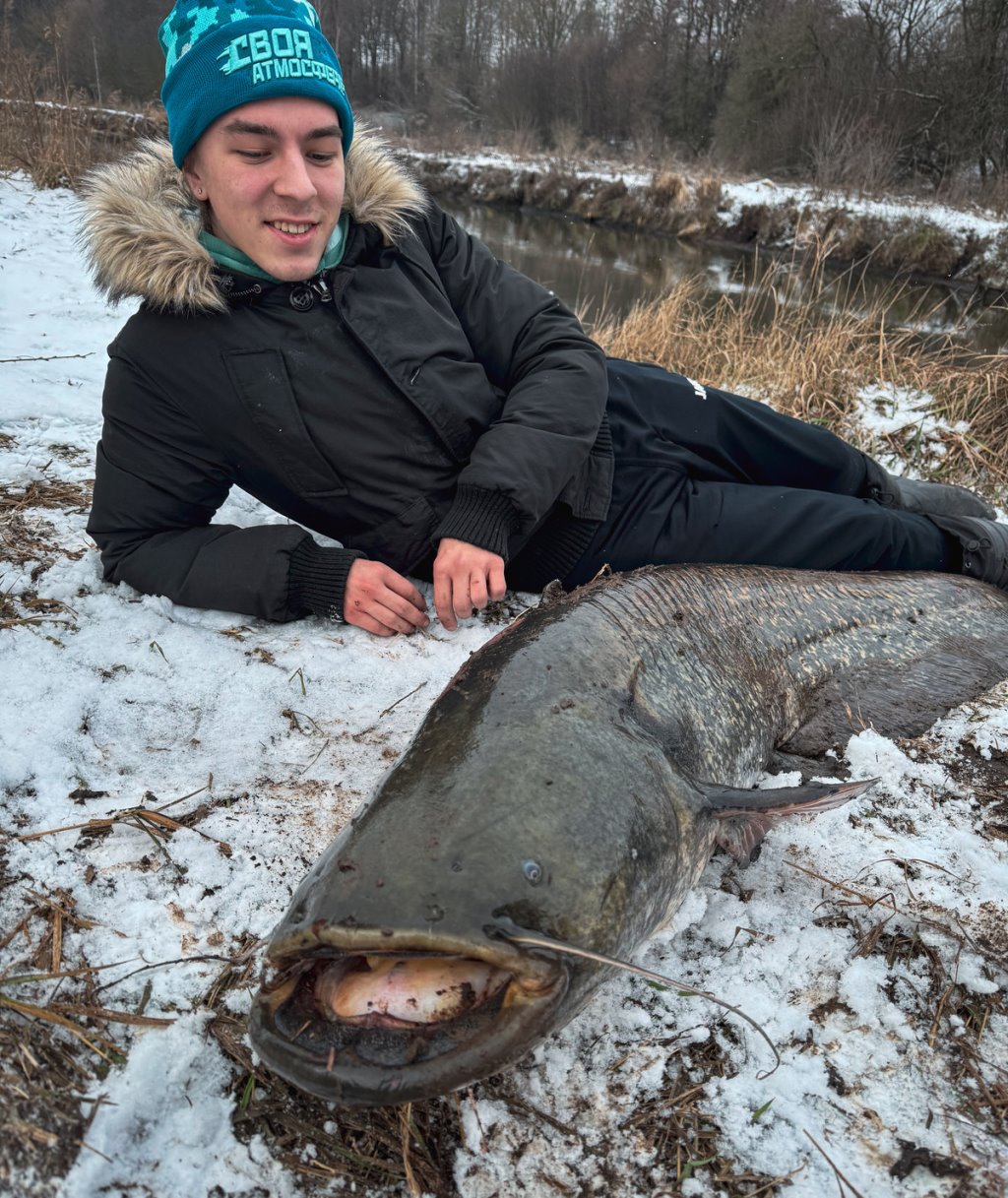 Белорус снова поймал гигантского сома весом 32 кило