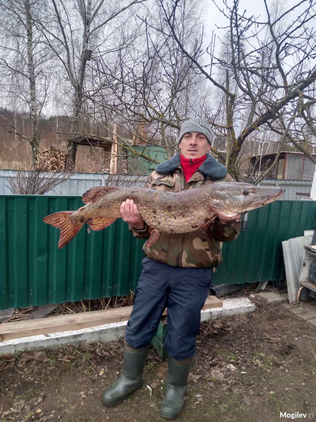 Белорус поймал щуку-гиганта. Какой вес?