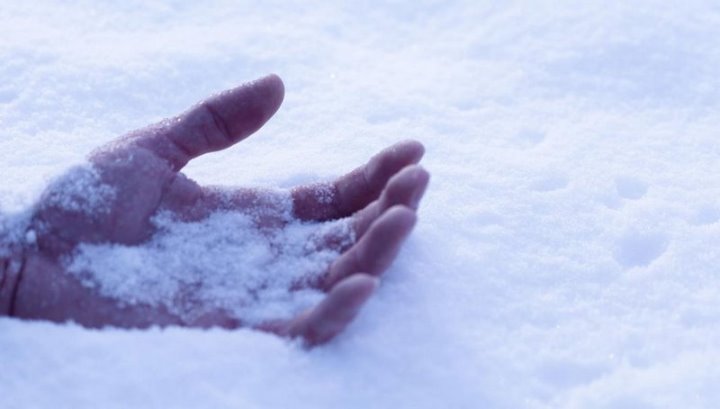 В Ляховичском районе мужчина насмерть замерз в лесу