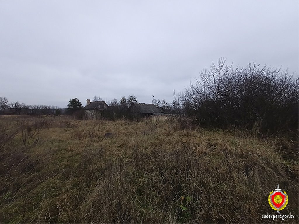 В Брестской области найдено тело женщины с укусами животных