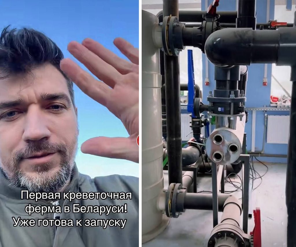 Мужчина из Брестской области открыл креветочную ферму