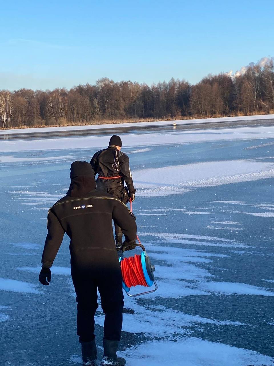 В Бресте спасли лебедя