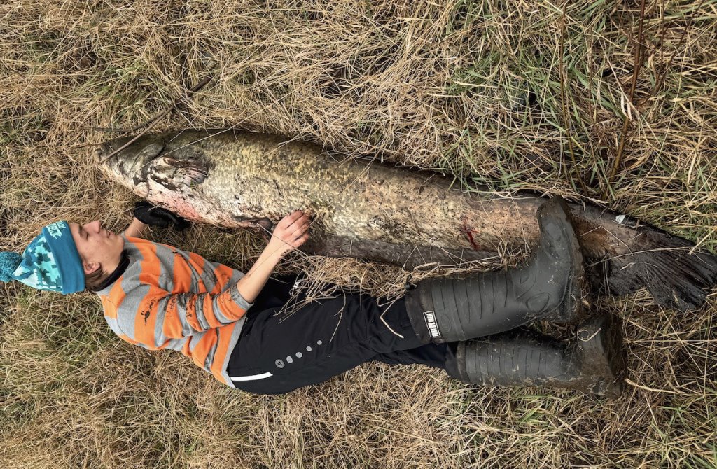 Белорус вытащил сома размером с человека