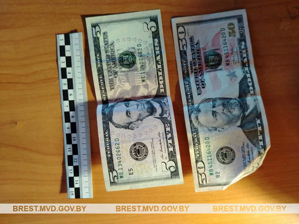 33-летняя пинчанка стала жертвой кражи: подруга похитила 330 долларов