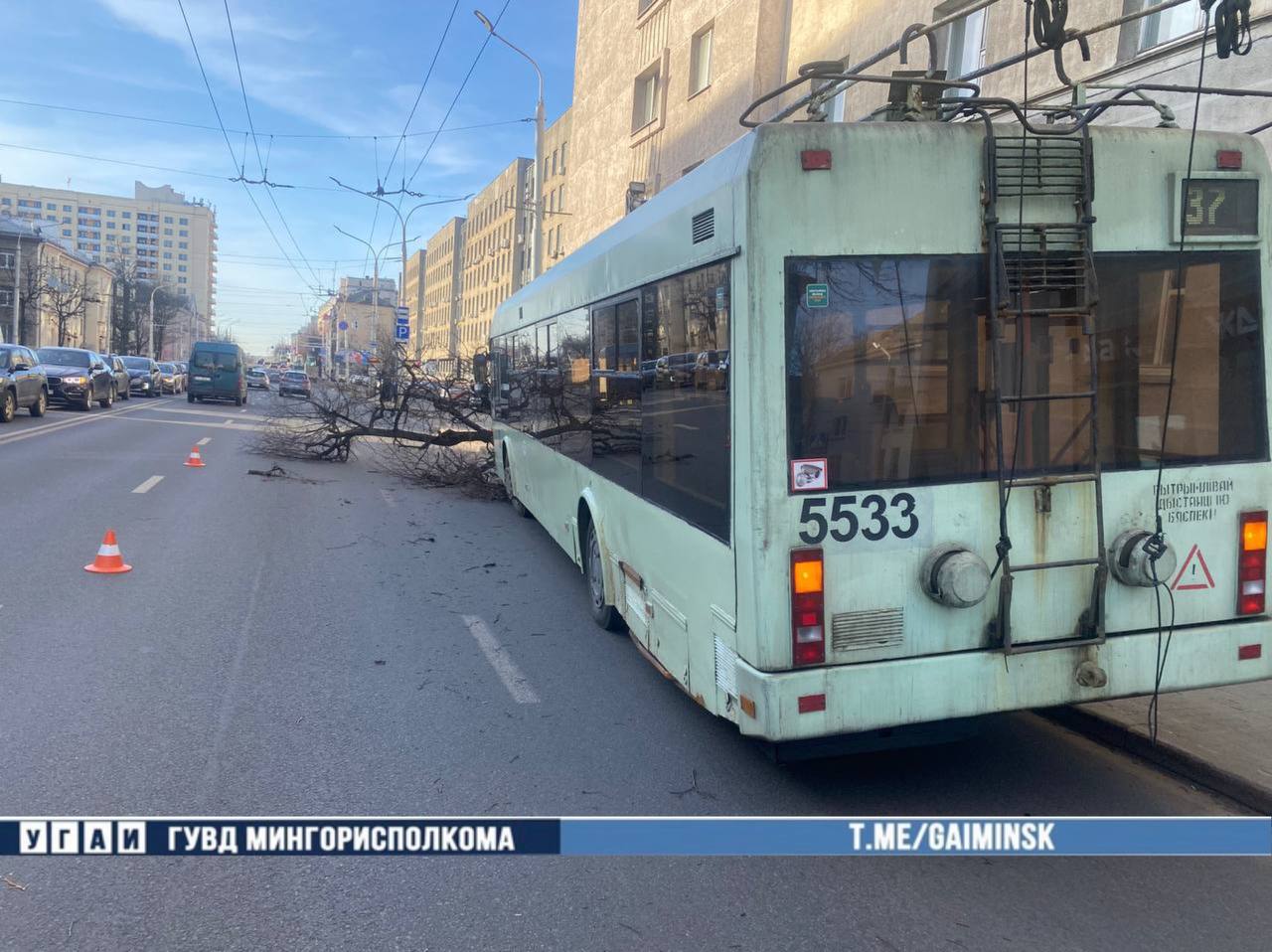 Троллейбус с пассажирами снес дерево в Минске — это попало на видео