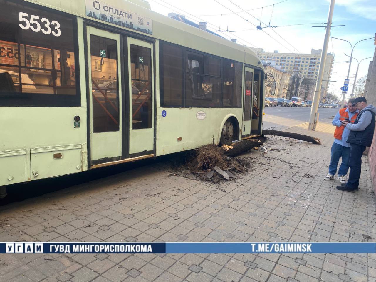 Троллейбус с пассажирами снес дерево в Минске — это попало на видео