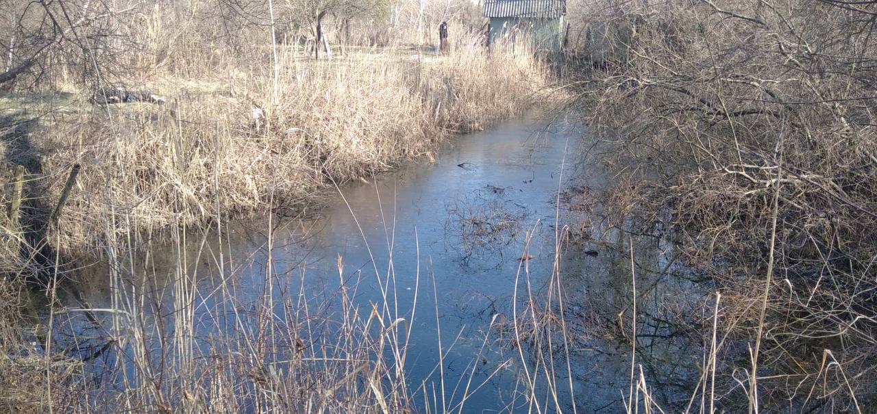В Бресте в водоёме обнаружен труп мужчины
